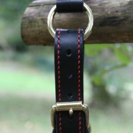 Collection Sportclassic