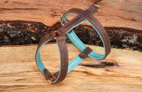 Harnais chat cuir Jungle