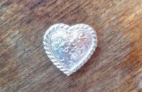 Coeur Sierra