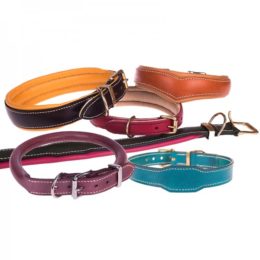 Colliers chiens personnalisables