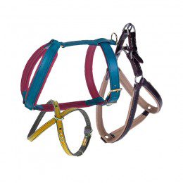 Harnais chiens personnalisables