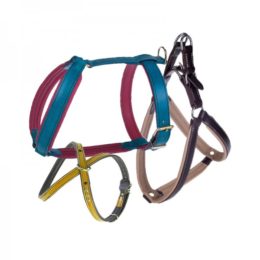 Harnais chiens personnalisables