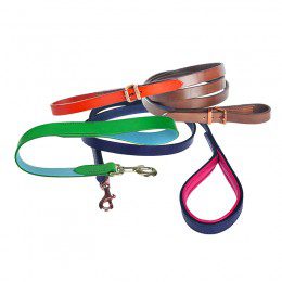 Laisses en cuir personnalisables