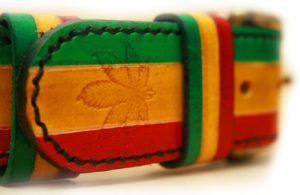 Collier chien en cuir modèle RASTA - Édition COOL
