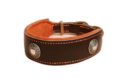 Collier large pour chien & lévrier - VALMA