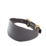 Colliers chiens Napoleon