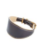 Colliers chiens Napoleon