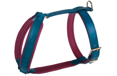 Harnais Chien Standard