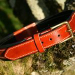 collier chien cognac en cuir