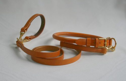 Collier Montagne des Pyrénées & laisse