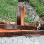 laisse et collier en cuir dobermann