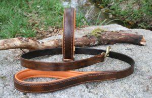 Collier Dobermann & laisse