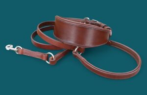 Collier large de retenue & sa laisse - TATRAS