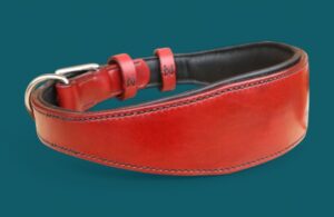 Collier chien en cuir très large - Modèle EXTRA CONFORT - Avec couleurs au choix