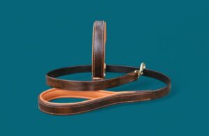 Collier Dobermann & laisse