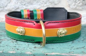 Collier chien en cuir modèle RASTA - Édition PRESTIGE