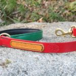 Laisse en cuir rasta assortie au collier rasta pour chien