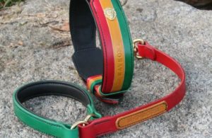 Ensemble Collier & laisse en cuir pour chien modèle RASTA - Édition Prestige