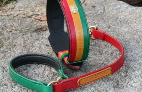 Ensemble Collier & laisse en cuir pour chien modèle RASTA - Édition Prestige