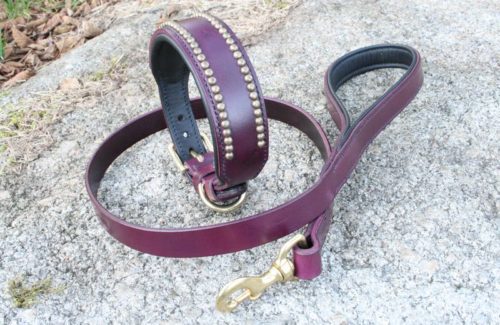Ensemble collier & laisse en cuir pour chien - CONSULAT - Purple Ed.