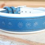 COLLIER CHIEN TRES GRAND CHIEN BLEU TURQUOISE_1