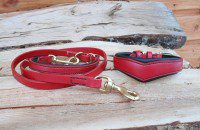 Collier Schnauzer & laisse attache rapide