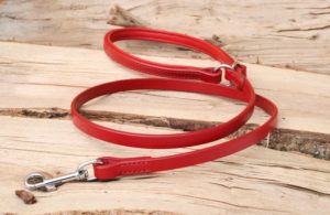 Laisse standard Clotilde