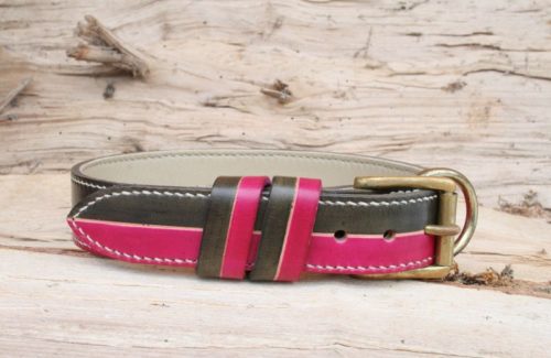 Notre Collier chien en cuir - DUO COLOR