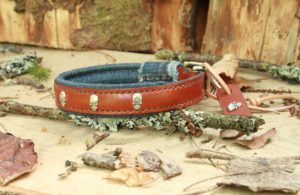 Collier chien en cuir modèle PETIT DIABLE - Édition Deluxe