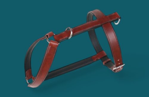 Notre harnais EXPLOREUR équipé pour l'éducation & anti-traction