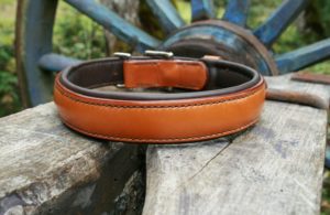 Collier chien CLUB - En cuir fauve & marron