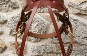 Harnais attelage chien - Édition prestige Le Marronnier