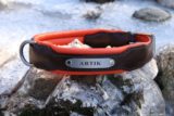 Collier chien en cuir - Modèle EXPLORER - Avec couleurs au choix