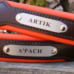 Collier chien en cuir avec prénom