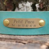 Plaque identification chien laiton