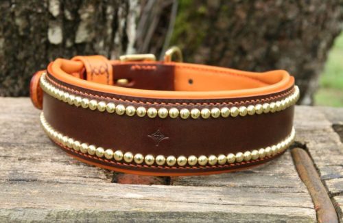 Collier chien clouté - ARAUSIO