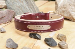 Collier chien COQUETTE - En cuir quetsche & crème
