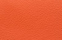 Doublure Extrême orange