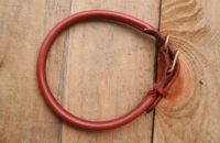 rond cognac grand chien