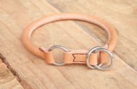 rond naturel moyen chien
