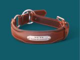 Collier Chien COLORADO - Notre 2 en 1 en cuir marron