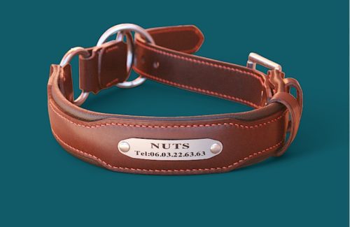 Collier Chien COLORADO - Notre 2 en 1 en cuir marron