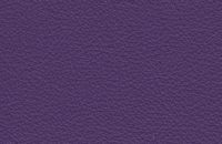 Doublure standard violet