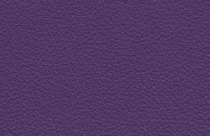 Doublure standard violet