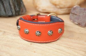 Collier large pour chien & lévrier - FLEUR DE COSMOS