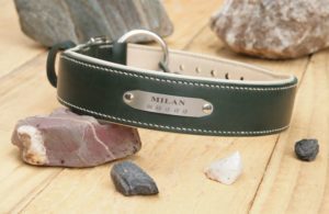 Collier chien IRLAND - En cuir vert & crème