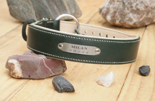 Collier chien IRLAND - En cuir vert & crème