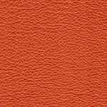 orange extrême