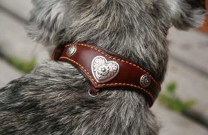 Collier chien en V - CLAYTON