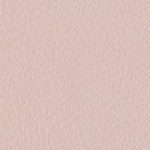 rose pastel